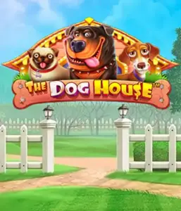 From Pragmatic Play comes The Dog House, offering a fun-filled journey through playful pups. Engage in features such as multipliers, designed for delivering exciting wins. A must-try for animal enthusiasts a cheerful theme with a chance for big wins.