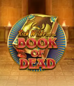 Embark on the thrilling world of Book of Dead Slot by Play'n GO, presenting vivid graphics of Rich Wilde's journey through ancient Egyptian tombs and artifacts. Find lost riches with engaging mechanics like free spins, expanding symbols, and a gamble option. Ideal for adventure enthusiasts with a desire for exciting finds.